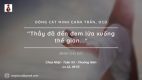 Chúa Nhật XX Thường Niên