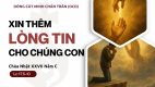 Chúa Nhật XXVII Thường Niên